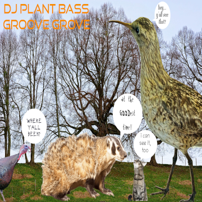 DJ Plant Bass โ Funk Food Vegan DJ Plant Bass โ Funk Food Vegan