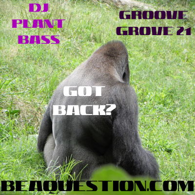 Groove Grove 21: Got Back?
